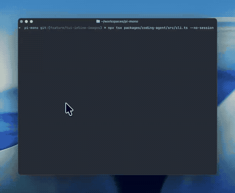 pi demo